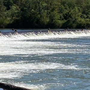 Meet your Posher, Ann